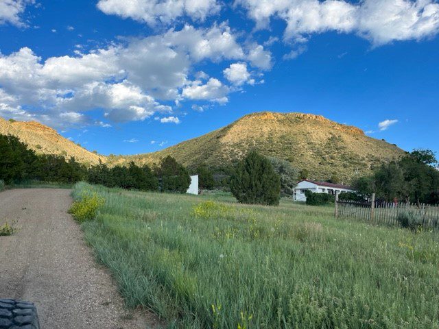 A dirt road with grass and trees in the background